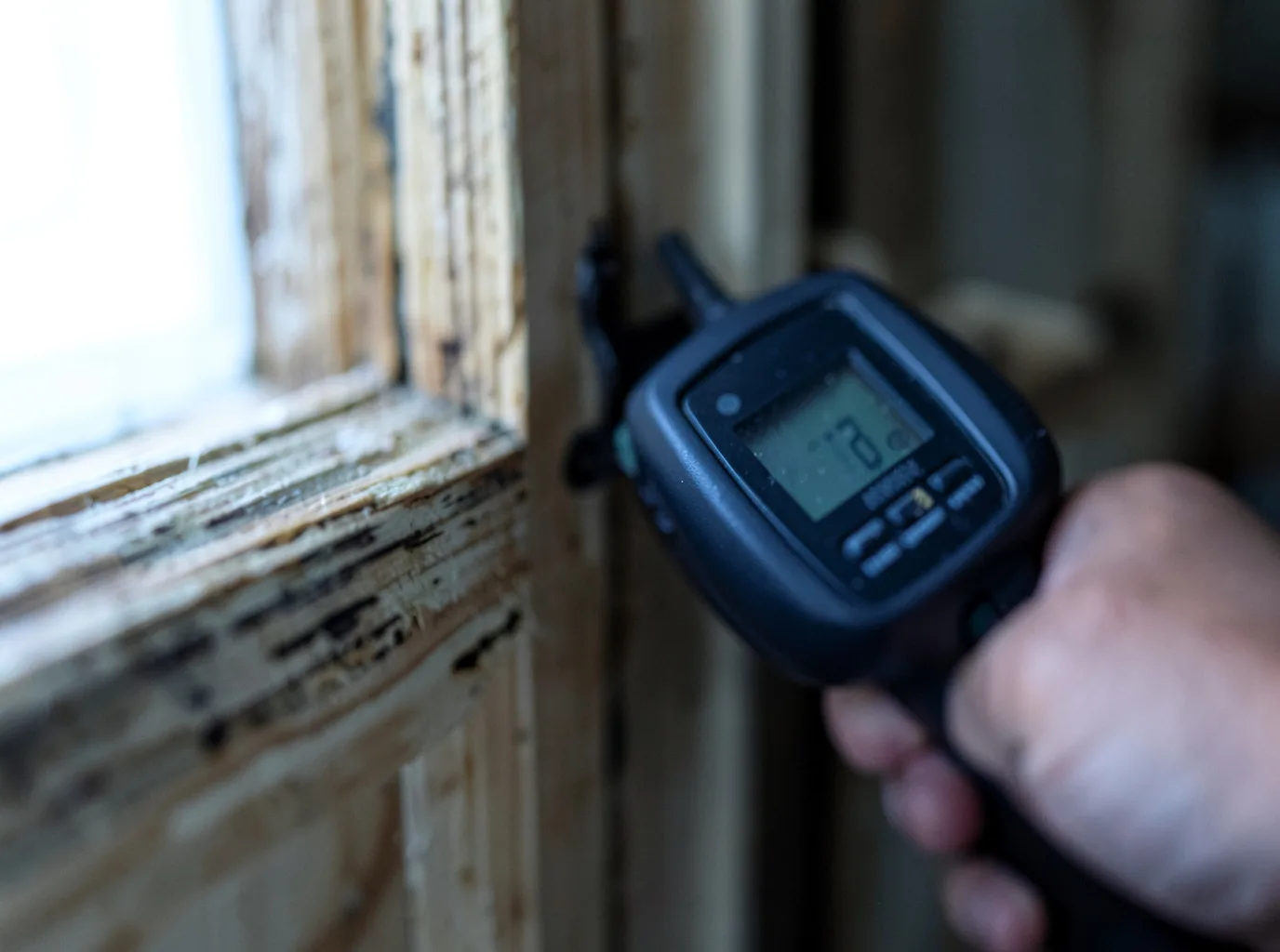 Moisture Inspection And Documentation in Teaneck, NJ